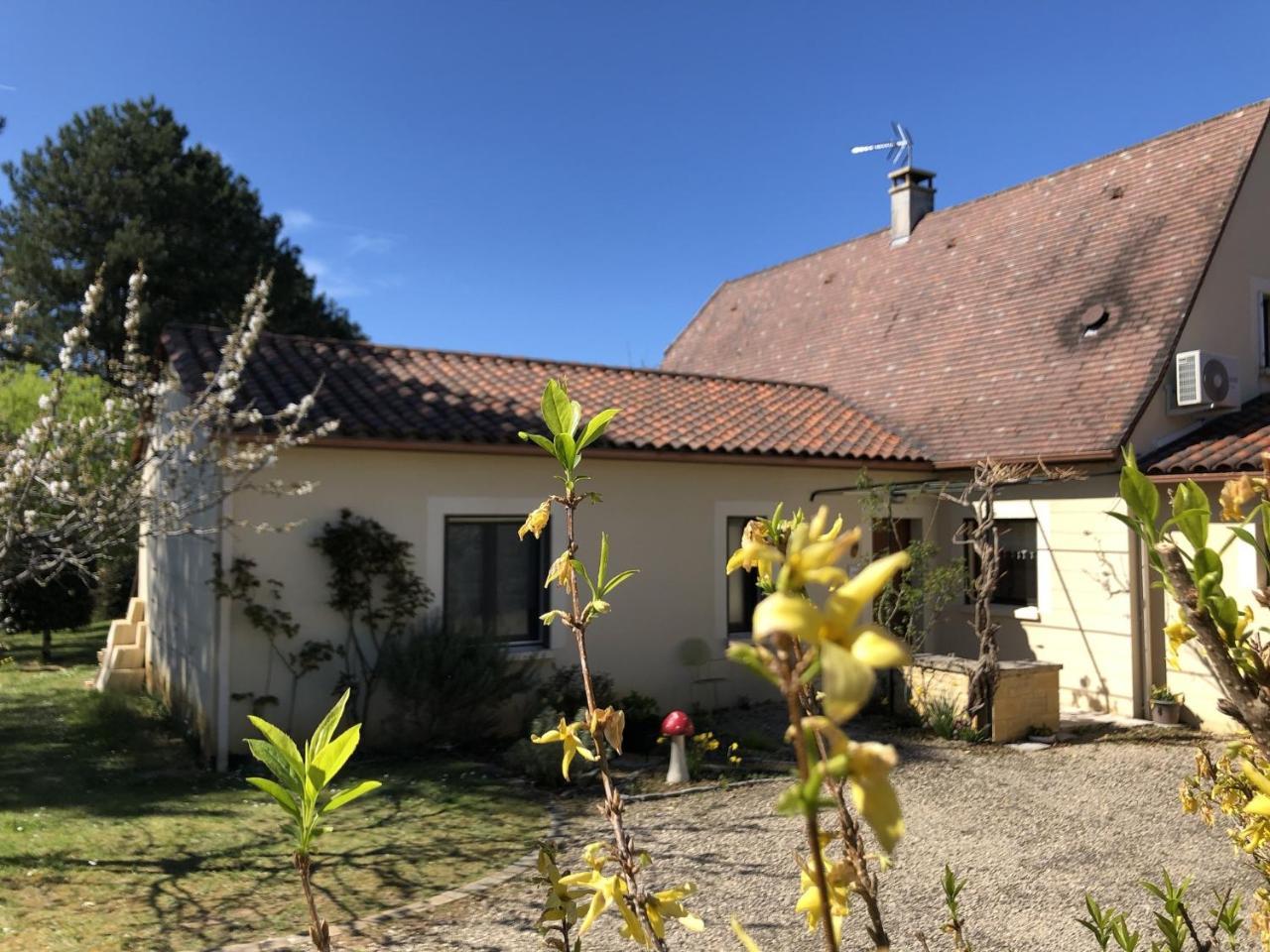 Bed and Breakfast Chambre D'Hotes L'Olivianne Sarlat Exterior foto